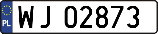 WJ02873