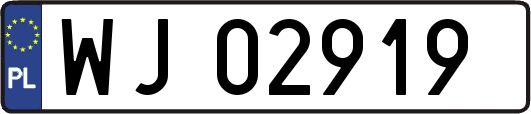 WJ02919