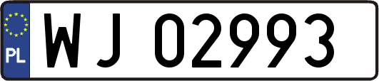 WJ02993