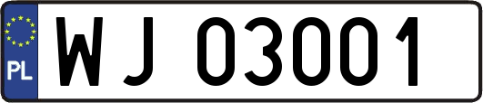 WJ03001
