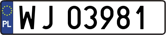 WJ03981