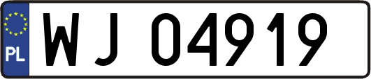 WJ04919