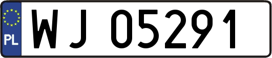 WJ05291