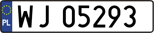 WJ05293