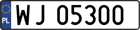 WJ05300