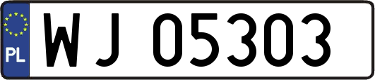 WJ05303