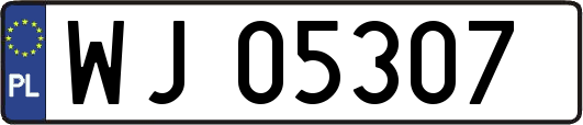 WJ05307
