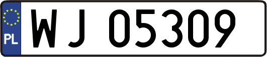 WJ05309