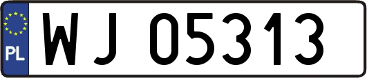 WJ05313