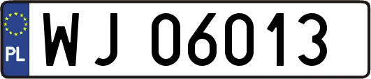 WJ06013