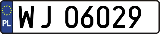 WJ06029