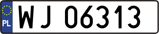 WJ06313