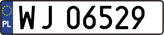WJ06529