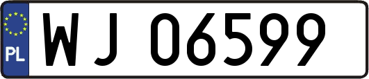 WJ06599