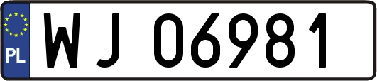 WJ06981