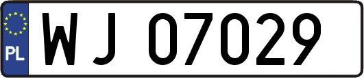 WJ07029