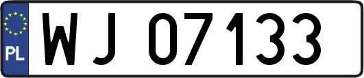 WJ07133