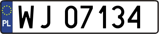 WJ07134
