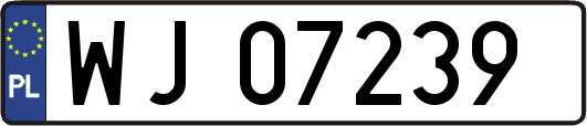 WJ07239