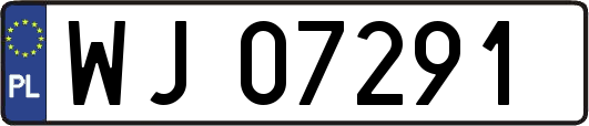WJ07291