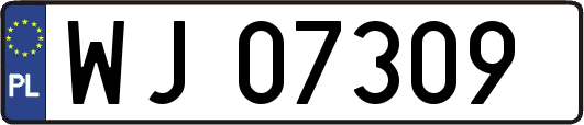 WJ07309
