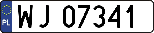 WJ07341