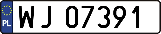 WJ07391