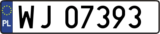 WJ07393