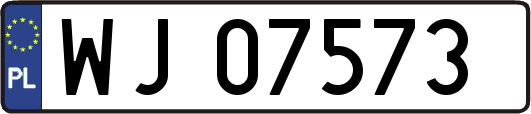 WJ07573