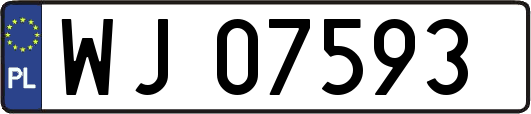 WJ07593