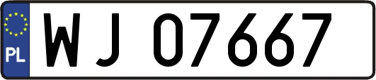 WJ07667