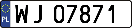 WJ07871
