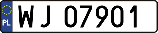 WJ07901