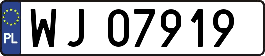 WJ07919