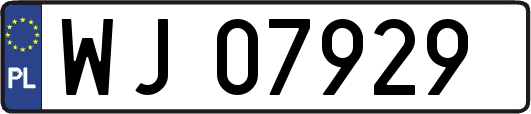 WJ07929