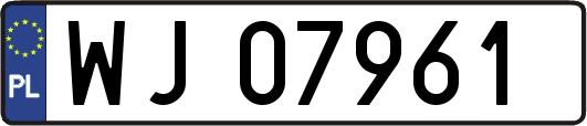 WJ07961