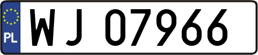 WJ07966