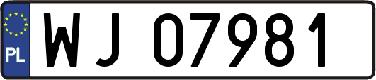 WJ07981