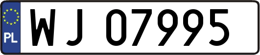 WJ07995