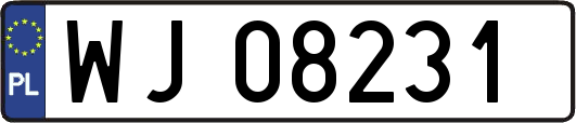 WJ08231