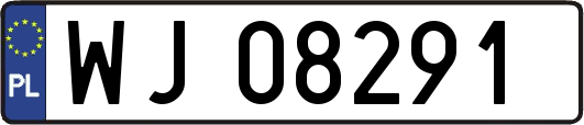 WJ08291