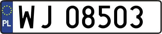 WJ08503