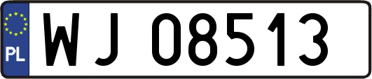 WJ08513