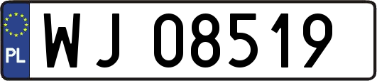 WJ08519