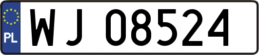 WJ08524