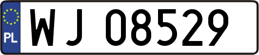 WJ08529