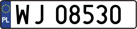 WJ08530