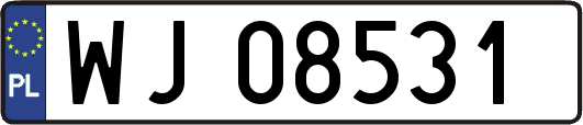 WJ08531
