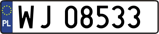 WJ08533