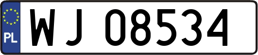 WJ08534